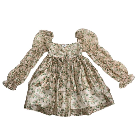 Uuniq Dresses & Skirts - Uuniq Daisyland Long Sleeve Floral Mini Organza Dress